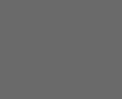 Ткань Оксфорд PVC 420 D 260+/-20гр.м2 (0.25 мм)  рул 50м гладь (Серый)