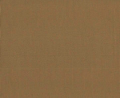 Ткань Оксфорд PVC 420 D 260+/-20гр.м2 (0.25 мм)  рул 50м гладь (Бежевый темный)
